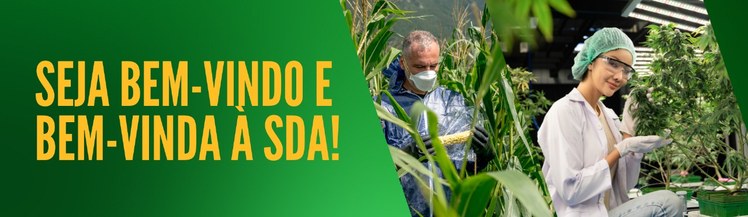 introdução