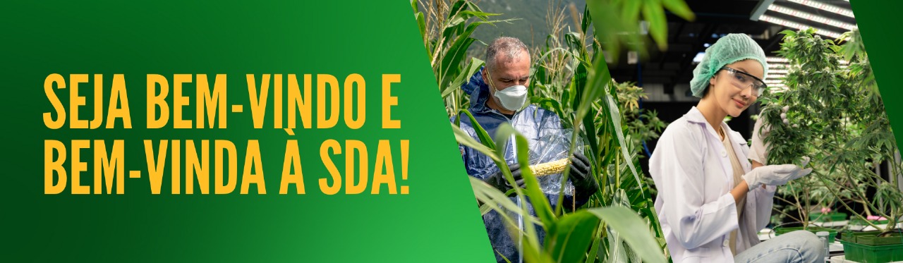 introdução