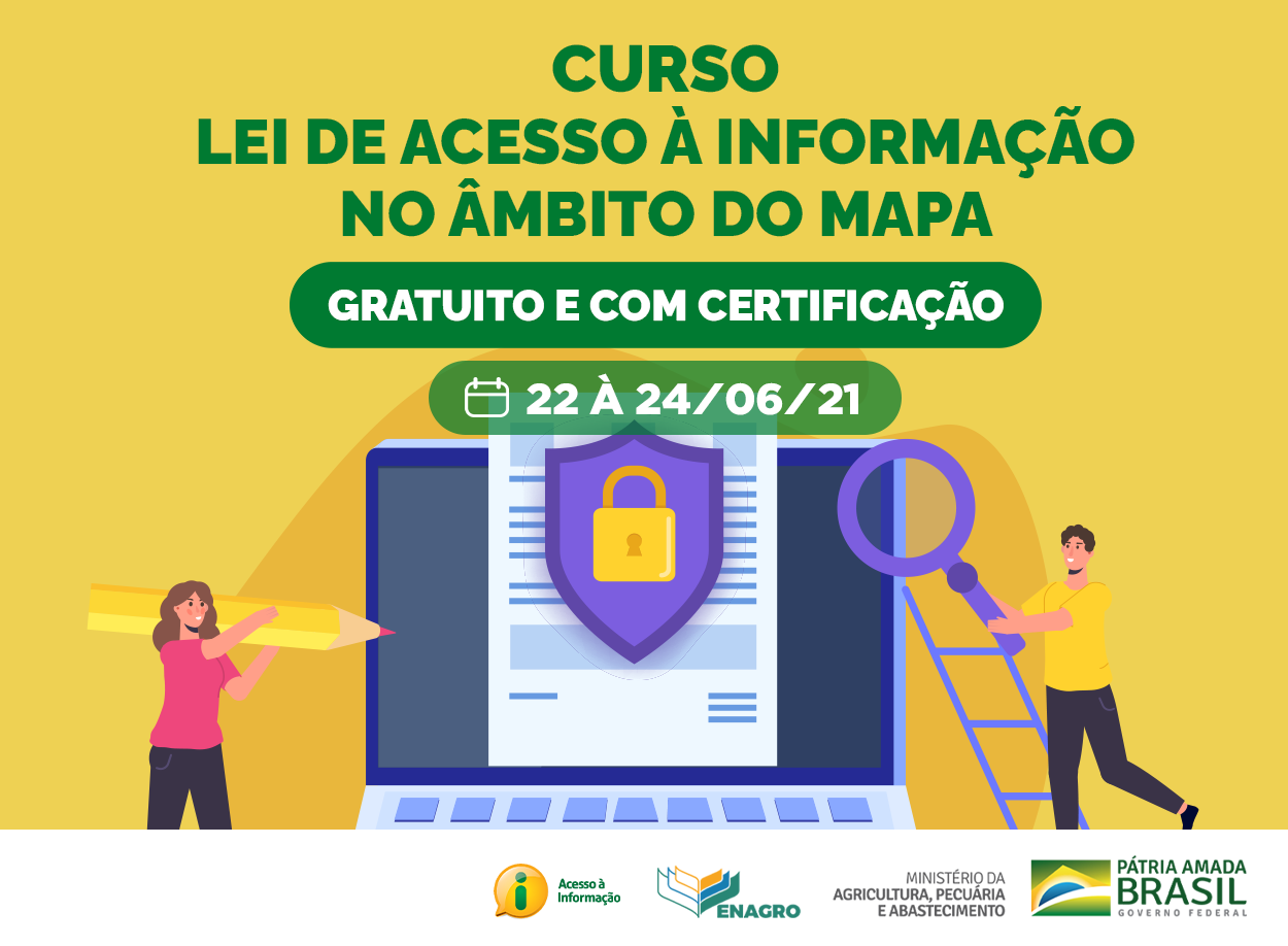 AVA_CURSO LEI DE ACESSO A INFORMACAO MAPA_V2(1).png