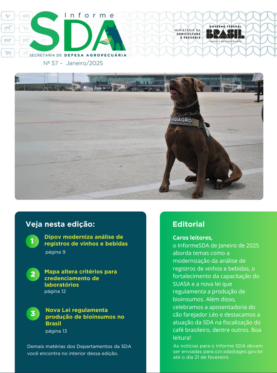 Captura de tela 2025-02-20 091751.png