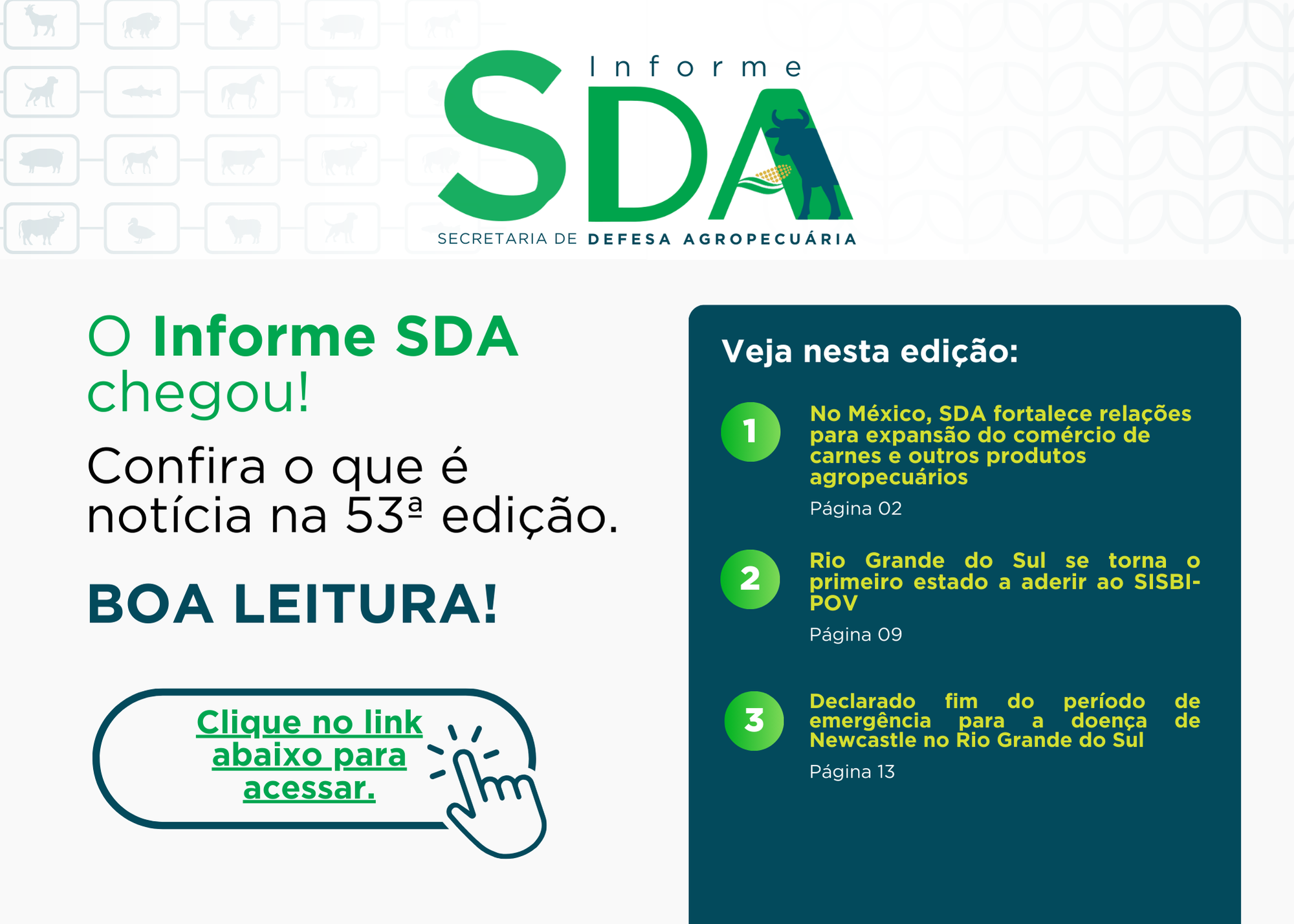 Lançamento Informe SDA Agosto 2024.png