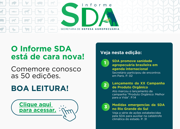 Lançamento Informe SDA.png