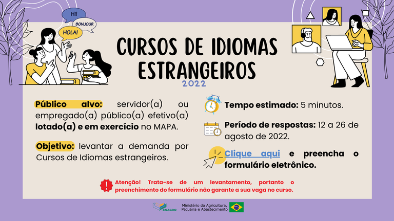Levantamento_Cursos_de_Idiomas (1).png