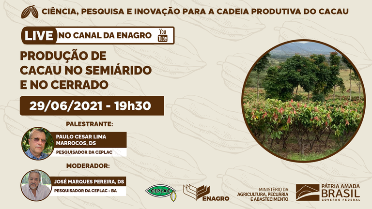 Produção de Cacau no Semiárido e no Cerrado_THUMB_V2.png