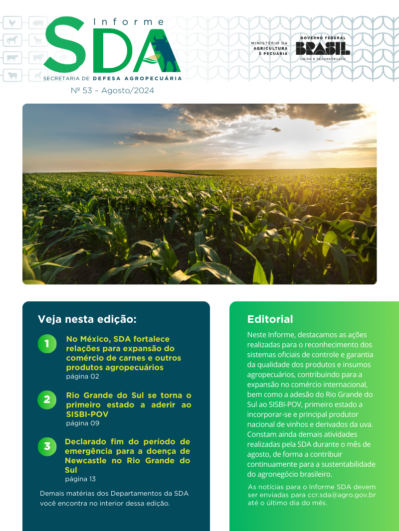 Informe SDA Agosto 2024