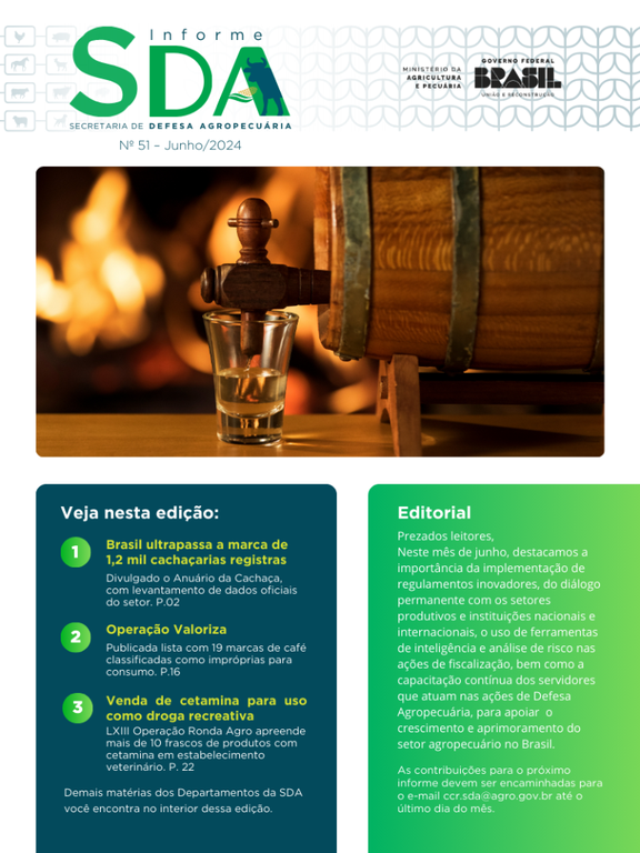 INFORME SDA JUNHO 2024.png